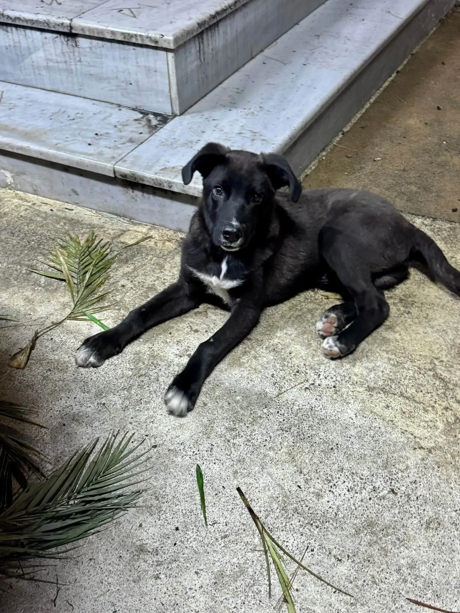Tobi - View 2