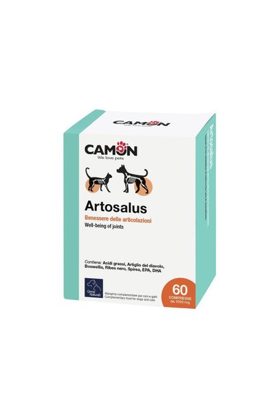 CAMON ARTOSALUS 60TABS