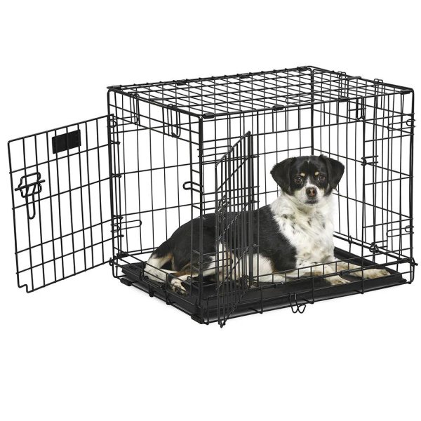DOG-INN 60 - View 2
