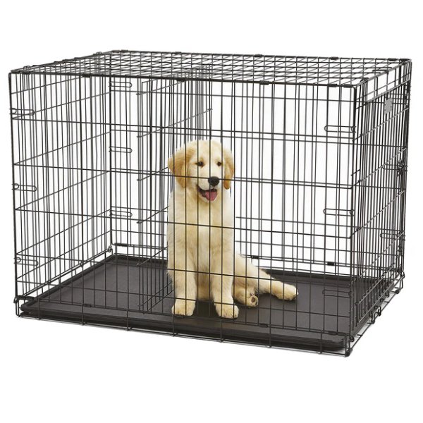 DOG-INN 75 - View 2